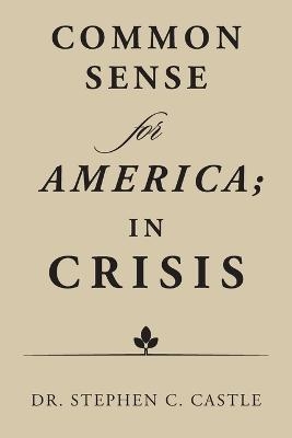 Common Sense for America; in Crisis - Dr Stephen C Castle