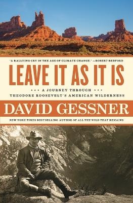 Leave It as It Is - David Gessner
