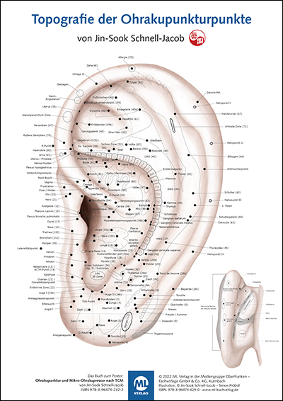 Poster - Topografie der Ohrakupunkturpunkte - Jin-Sook Schnell-Jacob