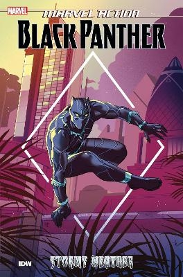 Marvel Action: Black Panther: Stormy Weather (Book One) - Kyle Baker