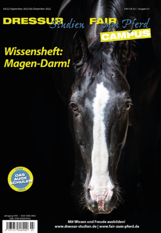 Dressur-Studien | Fair zum Pferd