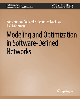 Modeling and Optimization in Software-Defined Networks