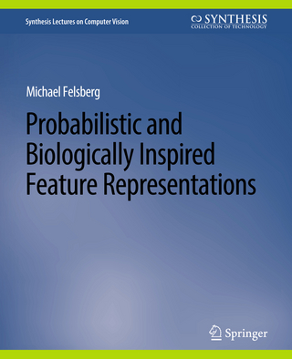 Probabilistic and Biologically Inspired Feature Representations