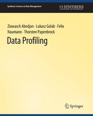 Data Profiling