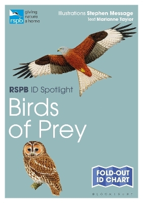 RSPB ID Spotlight - Birds of Prey - Marianne Taylor