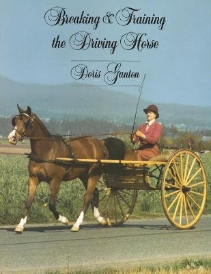 Breaking & Driving the Driving Horse