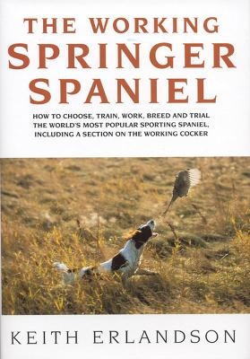The Working Springer Spaniel