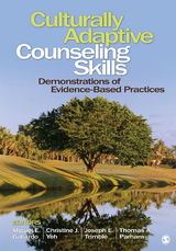 Culturally Adaptive Counseling Skills - 