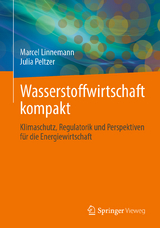 Wasserstoffwirtschaft kompakt - Marcel Linnemann, Julia Peltzer