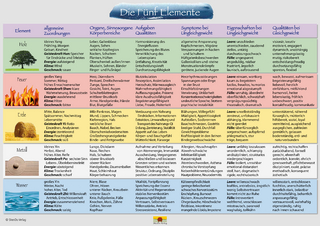 Fünf Elemente Schaubild DIN A 3