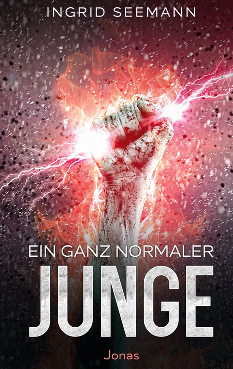 Ein ganz normaler Junge - Ingrid Seemann