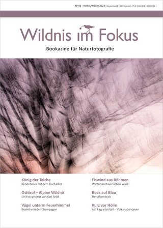Wildnis im Fokus