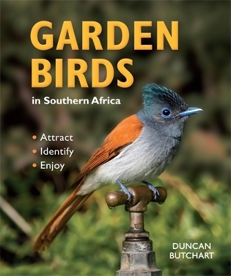Garden Birds in Southern Africa - Duncan Butchart