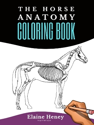 Horse Anatomy Coloring Book For Adults