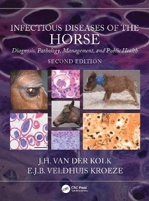 Infectious Diseases of the Horse - J.H. van der Kolk, E.J.B. Veldhuis Kroeze