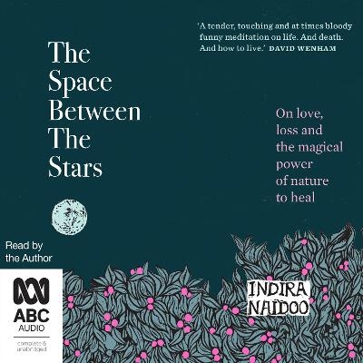 The Space Between the Stars - Indira Naidoo