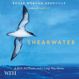 Shearwater