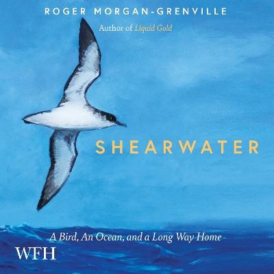 Shearwater - Roger Morgan-Grenville