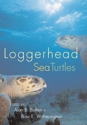 Loggerhead Sea Turtles - 