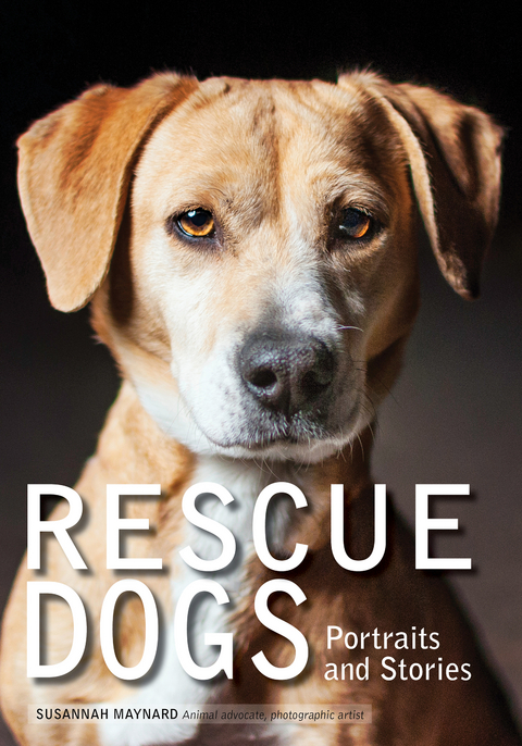 Rescue Dogs - Susannah Maynard