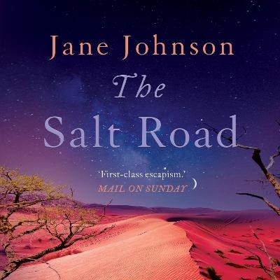 The Salt Road - Jane Johnson