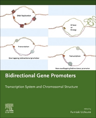 Bidirectional Gene Promoters