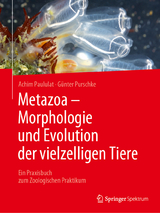 Metazoa - Morphologie und Evolution der vielzelligen Tiere - Achim Paululat, G&uuml;nter Purschke