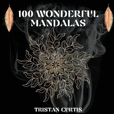100 Wonderful Mandalas Coloring Book - Tristan Curtis