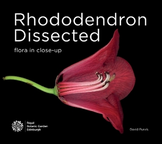 Rhododendron Dissected