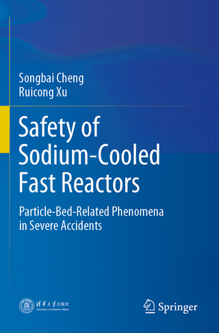 Safety of Sodium-Cooled Fast Reactors