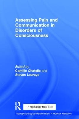 Assessing Pain and Communication in Disorders of Consciousness