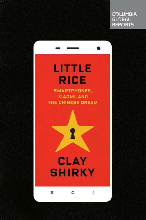 Little Rice - Clay Shirky