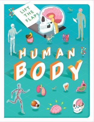 Lift The Flaps: Human Body -  Autumn Publishing,  Igloo Books Ltd