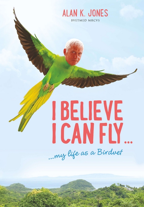 I Believe I Can Fly - Alan K Jones