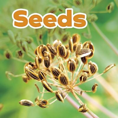 Seeds - Marissa Kirkman