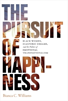The Pursuit of Happiness - Bianca C. Williams