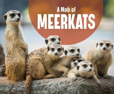 A Mob of Meerkats - Martha E. H. Rustad