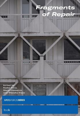 Fragments of Repair - Kader Attia, Maria Hlavajova