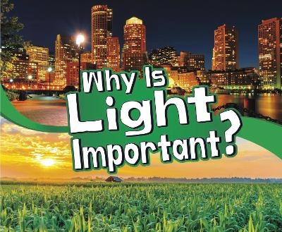 Why Is Light Important? - Mari Schuh