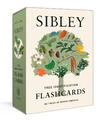 Sibley Tree Identification Flashcards - David Allen Sibley