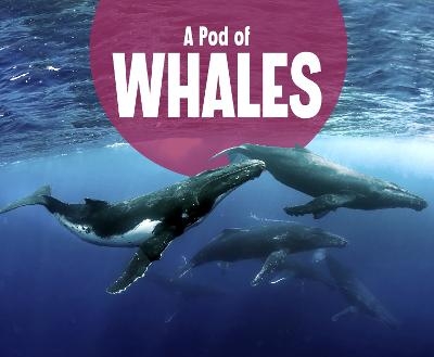 A Pod of Whales - Lucia Raatma