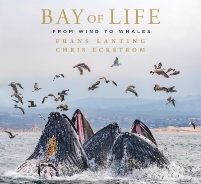 Bay of Life - Frans Lanting, Chris Eckstrom