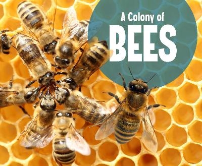 A Colony of Bees - Lucia Raatma