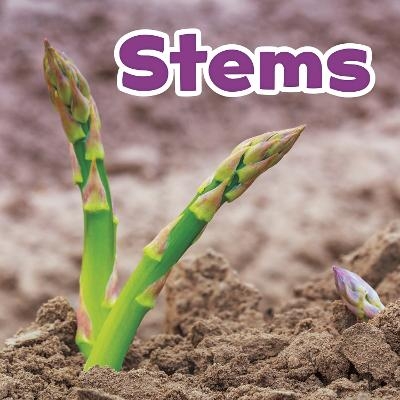 Stems - Marissa Kirkman