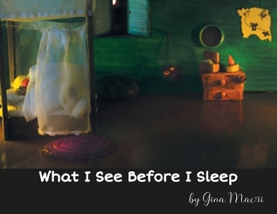 What I See Before I Sleep - Gina Macri