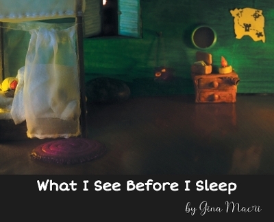 What I See Before I Sleep - Gina Macri