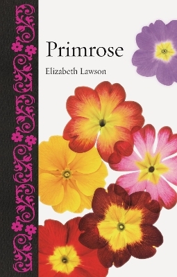 Primrose - Elizabeth Lawson