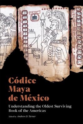 Codice Maya de Mexico - 