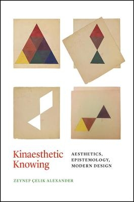 Kinaesthetic Knowing - Zeynep Celik Alexander