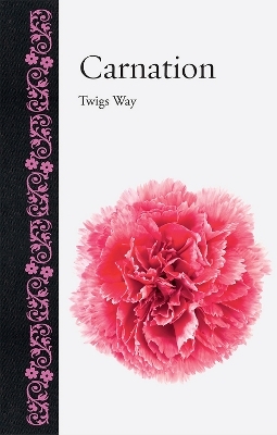 Carnation - Twigs Way